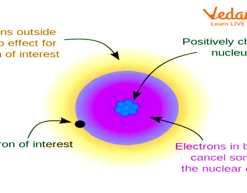 Nuclear Shielding